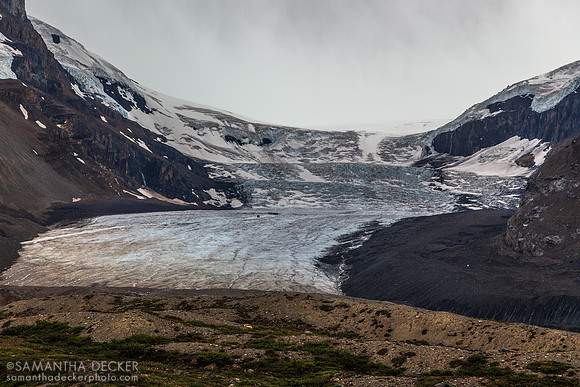 Columbia Icefield, Jasper National Park