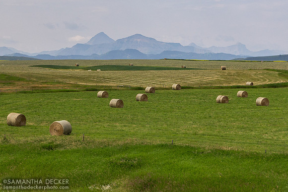Cowboy Trail, Alberta
