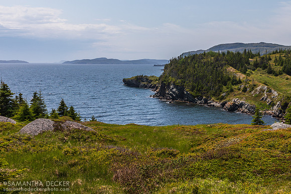 On the Way to Random Passage, New Bonaventure, Newfoundland