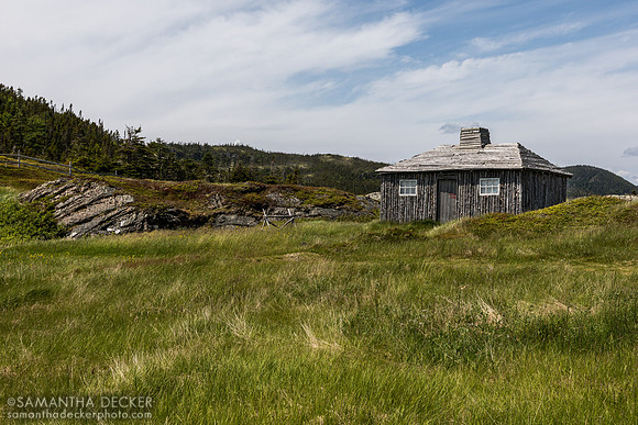Random Passage Site, New Bonaventure, Newfoundland