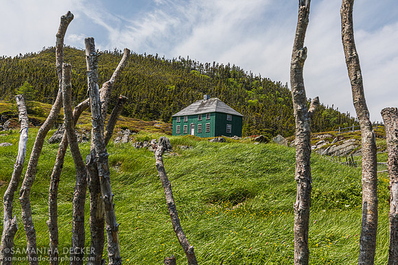 Ida's House, Random Passage Site, New Bonaventure, Newfoundland