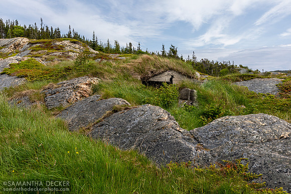 Random Passage Site, New Bonaventure, Newfoundland
