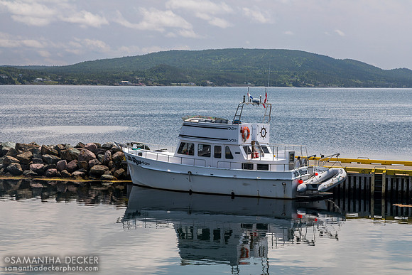 Boat in Dildo Harbour, Newfoundland