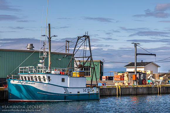Fortune, NL