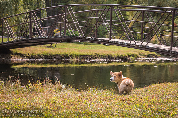 Aloy, Crandall Park, Glens Falls