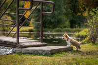 Aloy, Crandall Park, Glens Falls