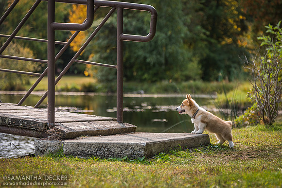 Aloy, Crandall Park, Glens Falls