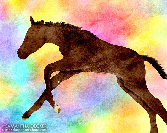Independence Hall's first foal, out of Seascape at Mahoney Eden Manor in Saratoga Springs, NY