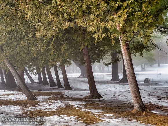 Crandall Park, Glens Falls, NY