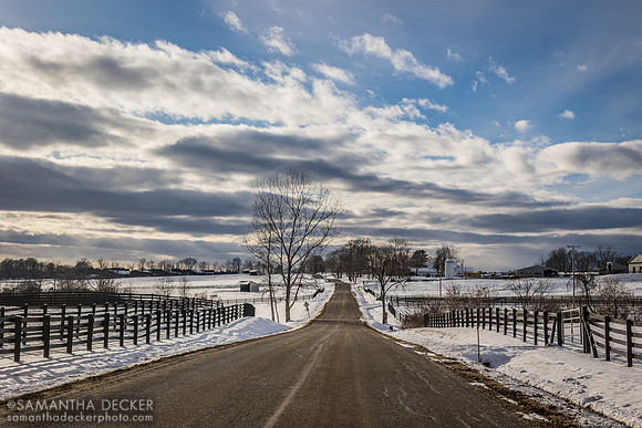 Burke Road, Stillwater, NY, 2023