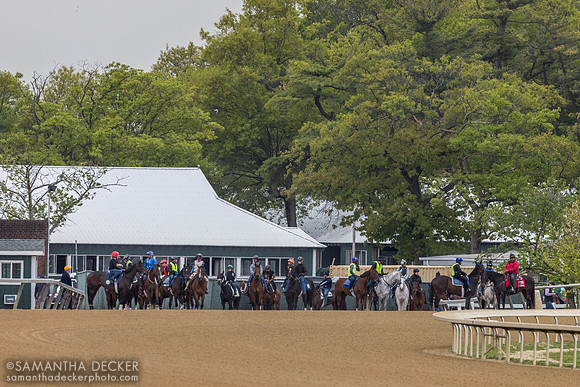 Horses waiting to come on the track, 2026