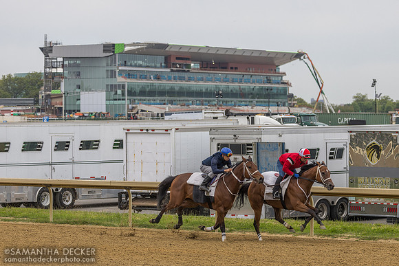 Training in front of the new Belmont grandstand, 2026