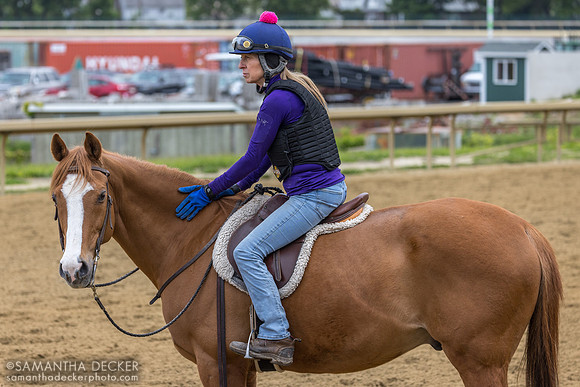 Pony rider, 2026