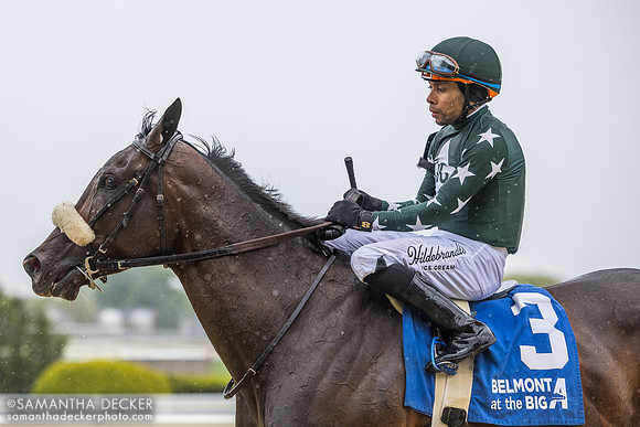 Dividend Recap wins an allowance race, 2026