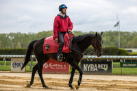 Outrider Omar Pereira