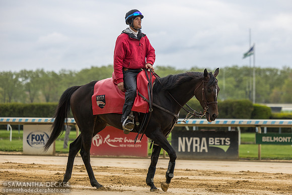 Outrider Omar Pereira