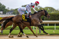 Aqueduct Racetrack, Queens, NY
