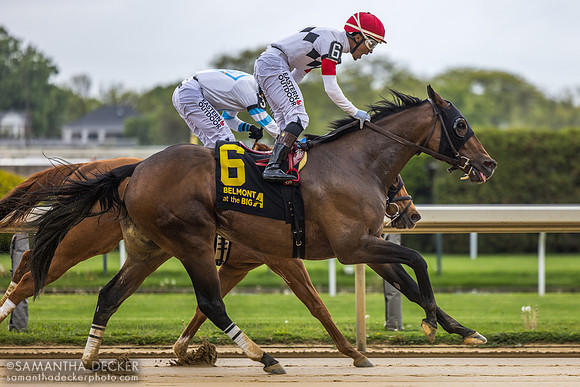 Durante wins the 2026 Grade III John A. Nerud Stakes, 2026