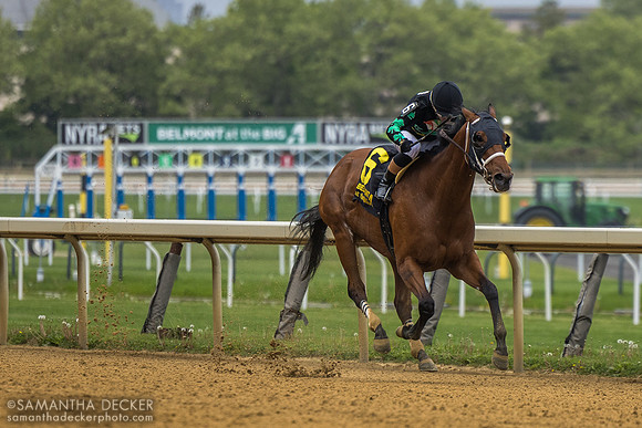 Irish Maxima wins the 2026 Grade II Ruffian Stakes