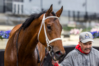 Irish Maxima wins the 2026 Grade II Ruffian Stakes