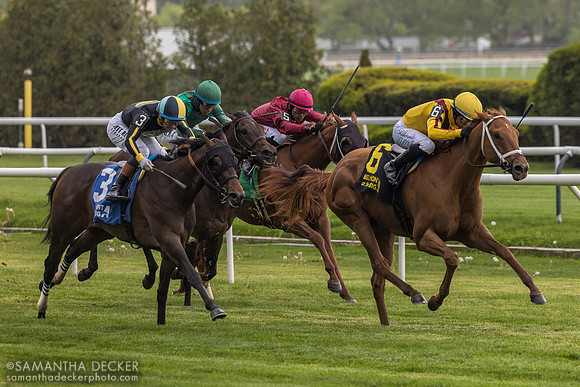 Cadenza wins the 2026 Take the A Train Stakes