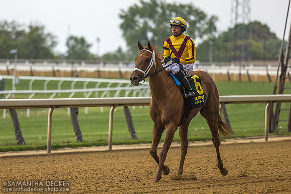 Cadenza wins the 2026 Take the A Train Stakes