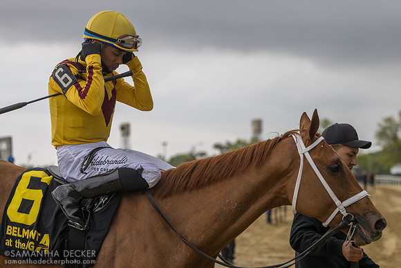 Cadenza wins the 2026 Take the A Train Stakes