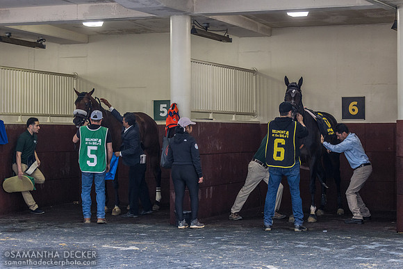 Brothers Rudy and Gustavo Rodríguez saddle Talk to Me Jimmy & Gulfy, respectively, in the Peter Pan
