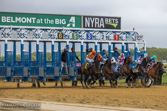 2026 Grade III Peter Pan Stakes