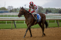Growth Equity wins the 2026 Grade III Peter Pan Stakes