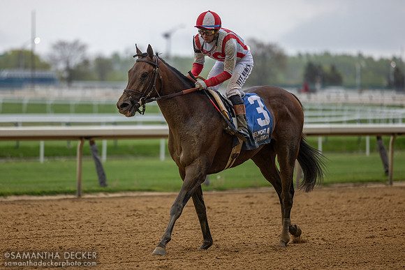 Growth Equity wins the 2026 Grade III Peter Pan Stakes