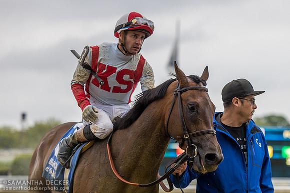 Growth Equity wins the 2026 Grade III Peter Pan Stakes