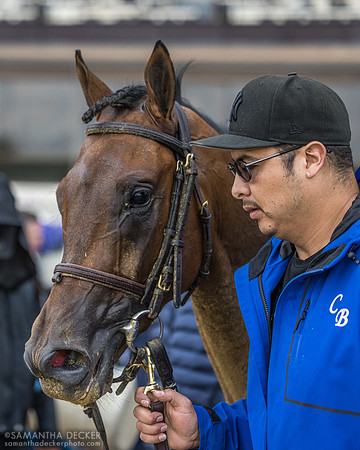 Growth Equity wins the 2026 Grade III Peter Pan Stakes