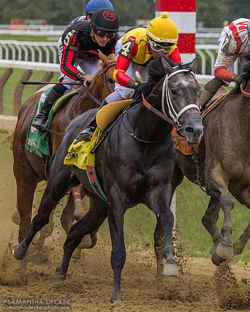 Dapper Moon wins R8