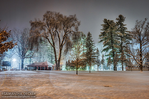 Saratoga Race Course in Winter, 2022