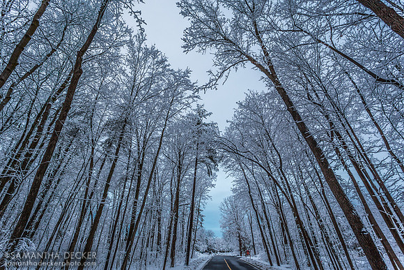 Frozen Skidmore Campus
