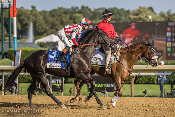 Domestic Product, winner of the H. Allen Jerkens