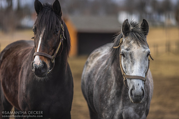 Electric Youth and Kreesie