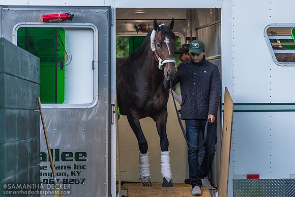Golden Tempo arrives at Saratoga, 2026