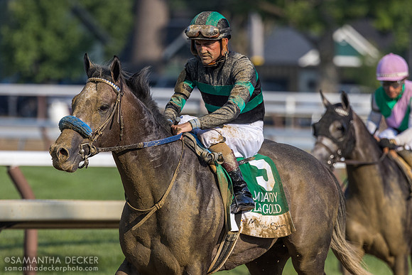 Brian Hernandez on Gould's Gold