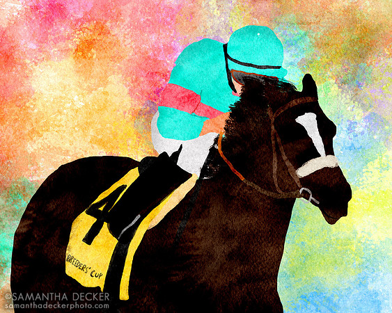 Zenyatta winning the 2009 Breeders' Cup Classic at Santa Anita