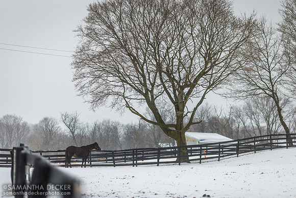 Irish Hill Century Farm