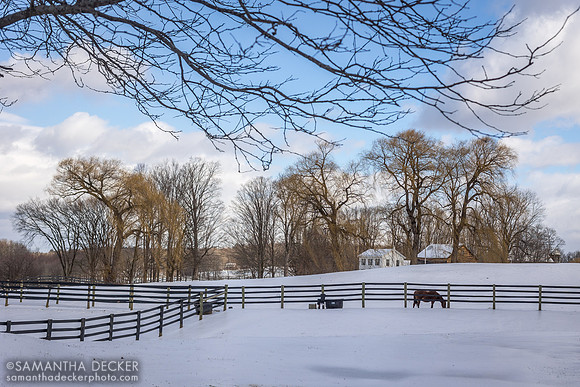 Mahoney Eden Manor