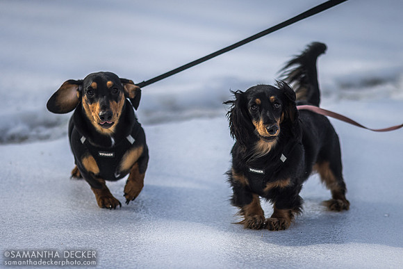 Cooper and Piper, Mahoney Eden Manor