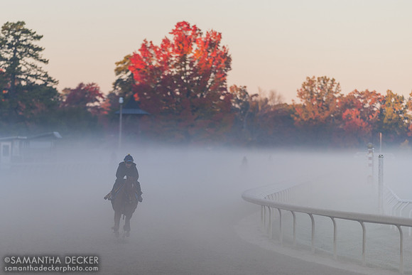 A Christophe Clément trainee emerges from the fog, 2024