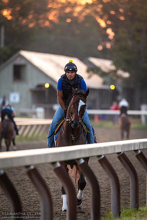 2014 Belmont Stakes Winner Tonalist Being Exercised, 2014