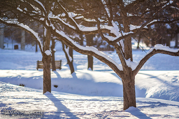 Congress Park, Saratoga Springs, NY