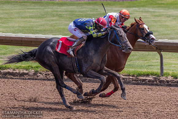 Finger Lakes Racetrack, Farmington, NY, 2026