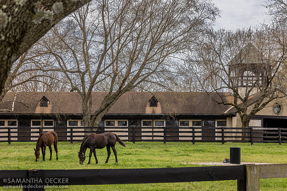 Gainsborough Farm, Versailles, KY