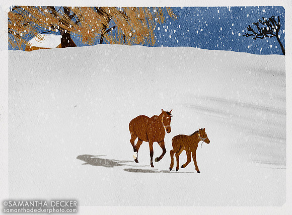 Goodyearforroses and her War Front filly at Mahoney Eden Manor in Saratoga Springs, NY